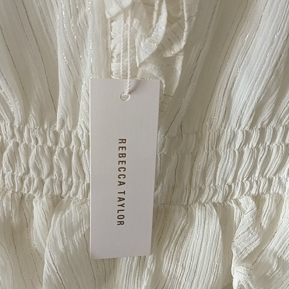 NWT Rebecca Taylor gauzy metallic dress - Picture 6 of 12